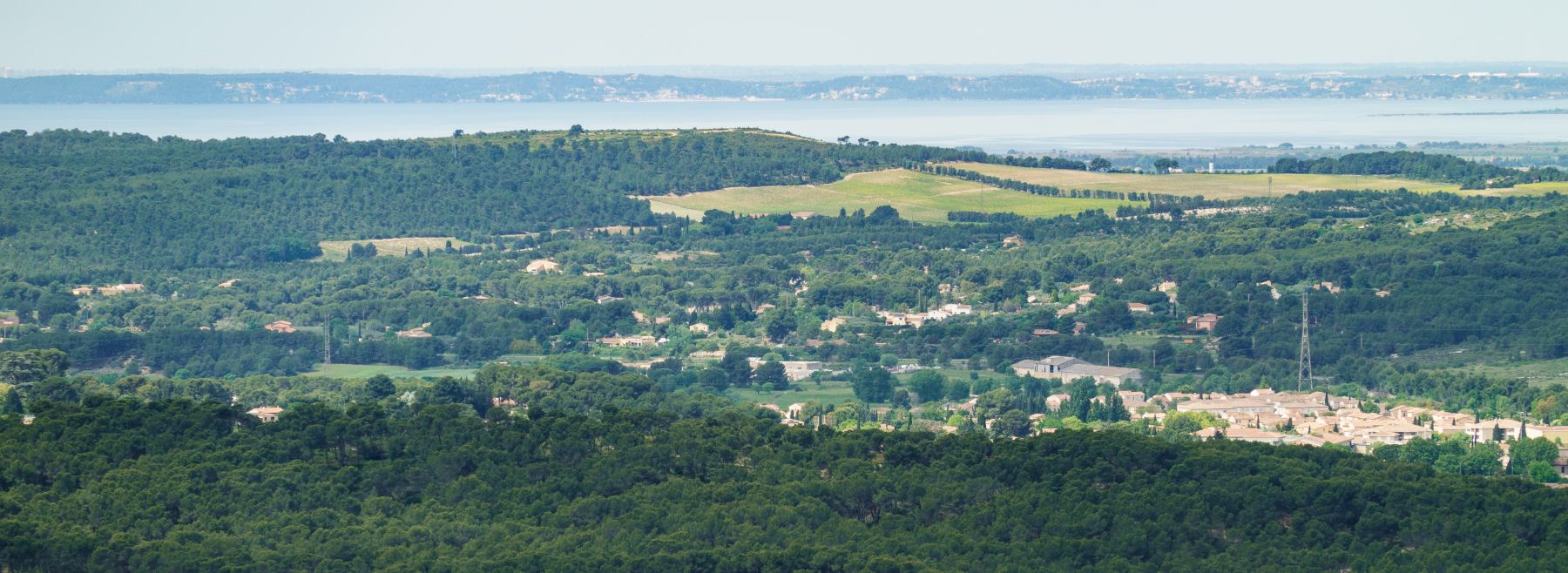 pano