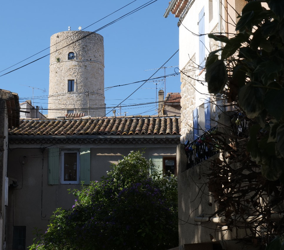tour musée